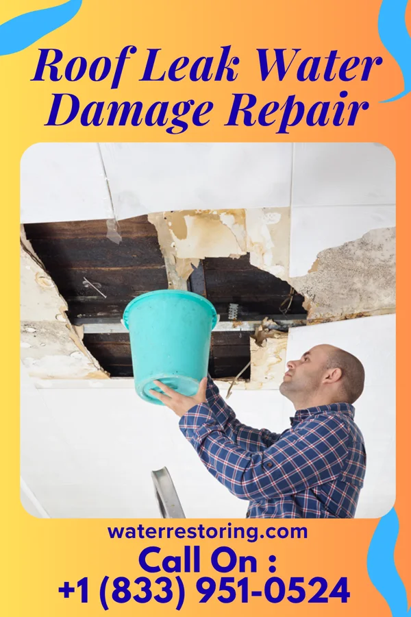 Roof Leak Water Damage Repair in Lamoni, IA