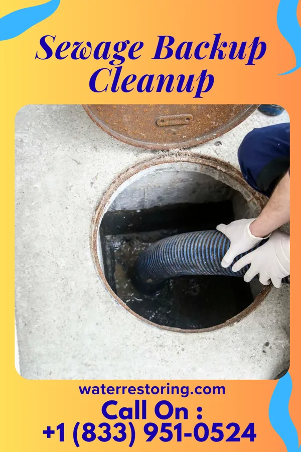 Sewage Backup Cleanup in Lamoni, IA